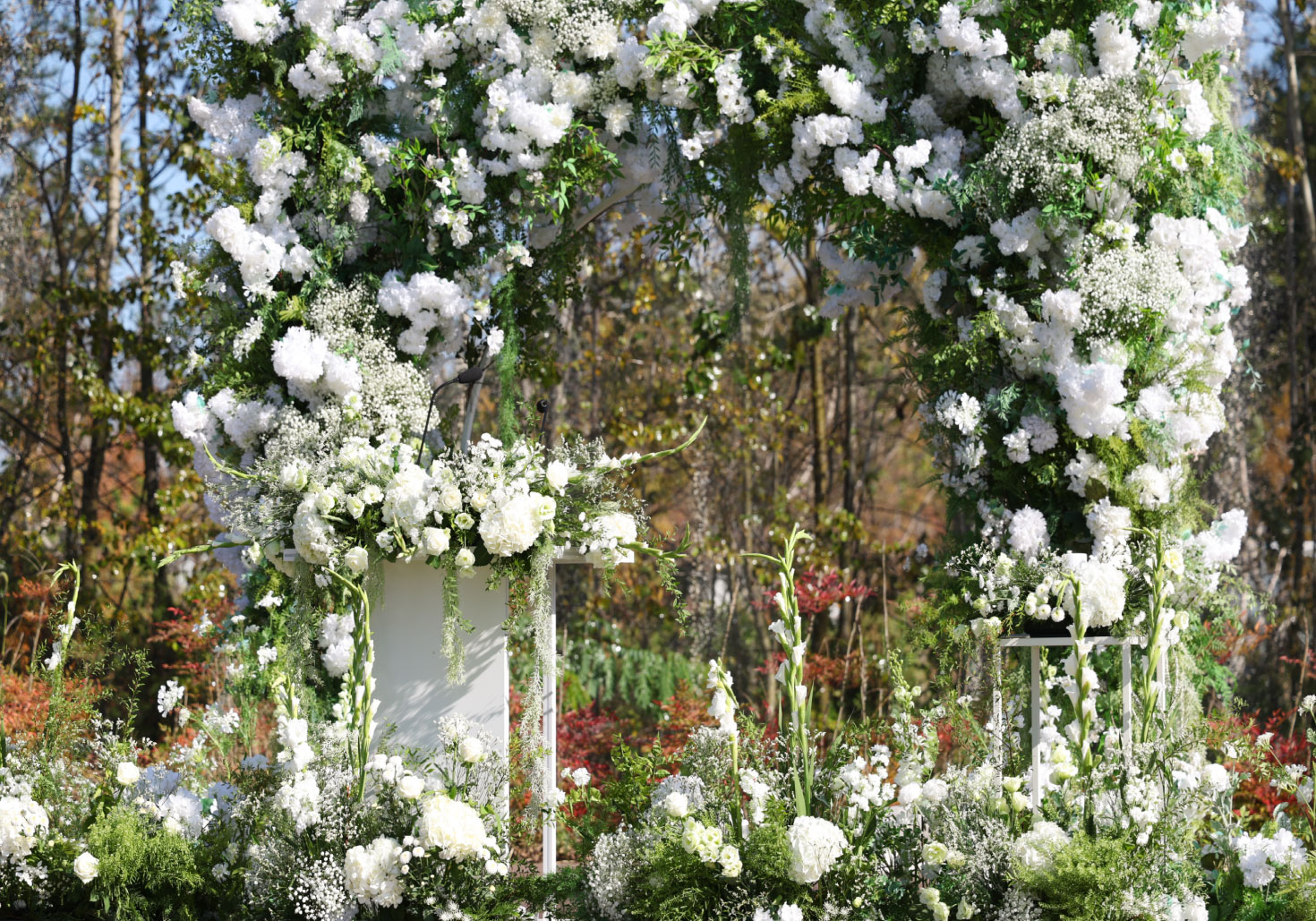 divinegarden_6